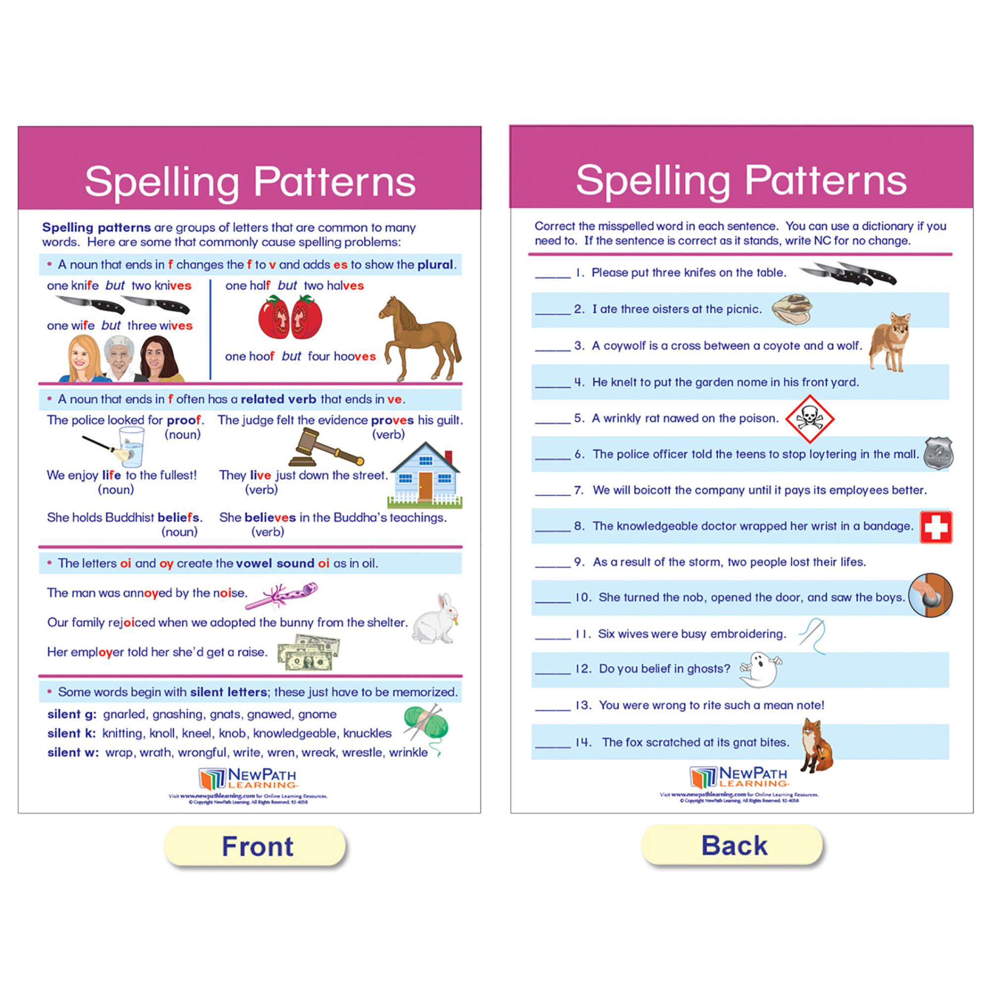 NewPath Learning® 18" x 12" Spelling Rules Bulletin Board Chart Set
